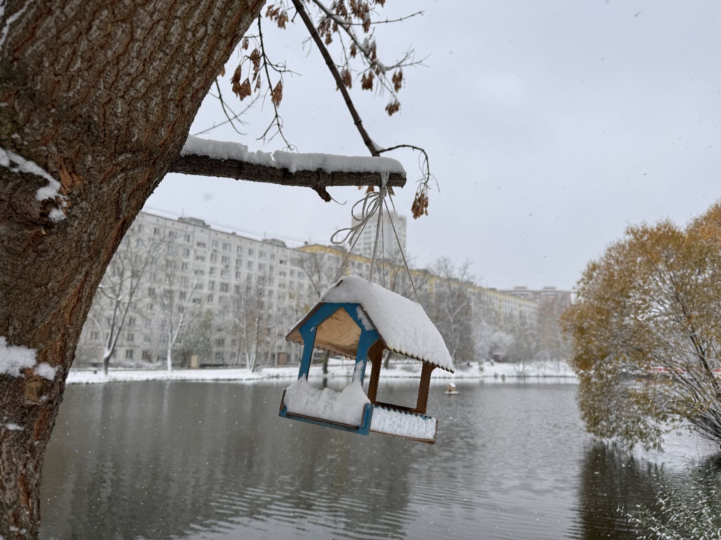 Одинцово, Уборка снега, Первый снегопад,вертикалка, вертикальное видео, коммунальщики,