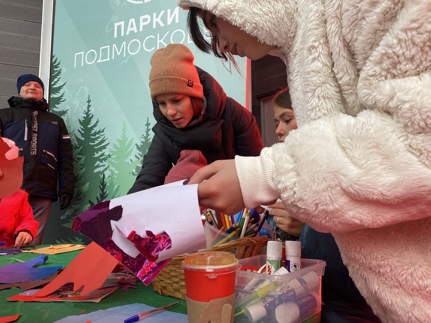 Домодедово, Подмосковье, Россия, день народно единства, Мы вместе, Мы едины, Парк Елочки,