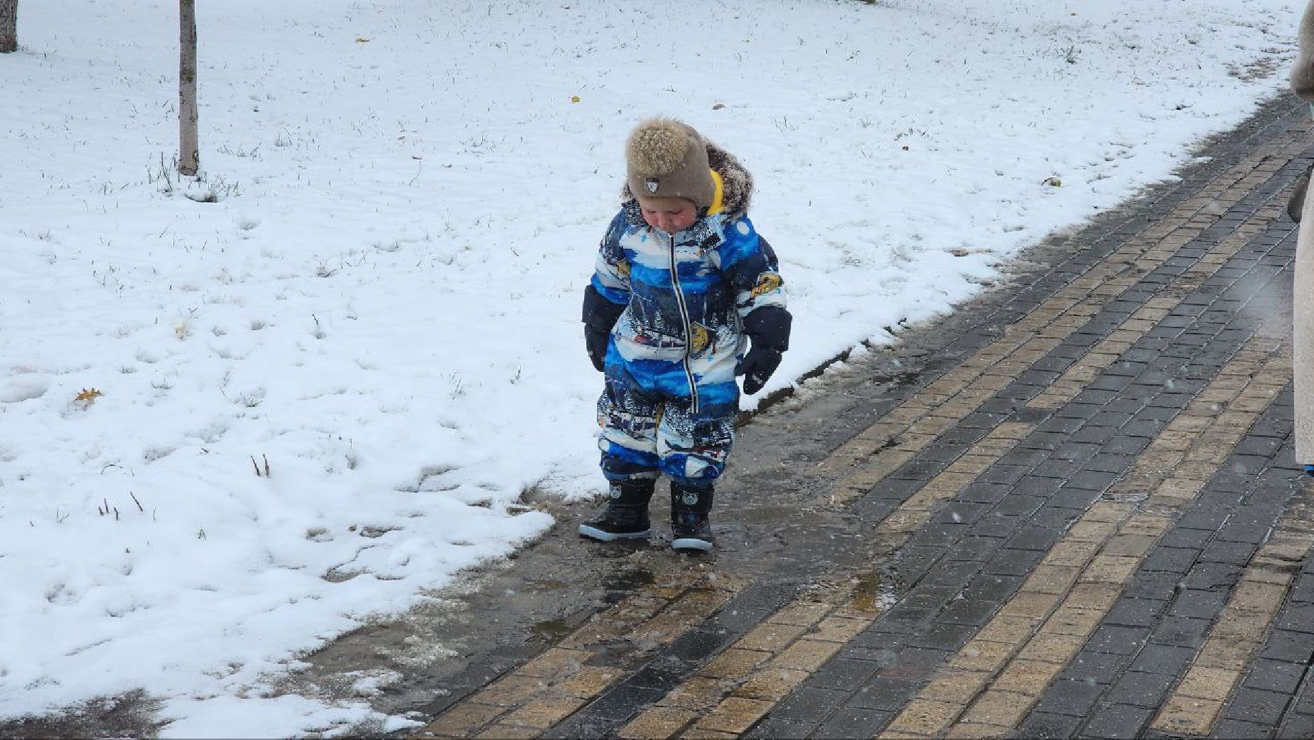 Реутов, День народного единства, праздник, вертикалки, конкурсы, мастер-класс,