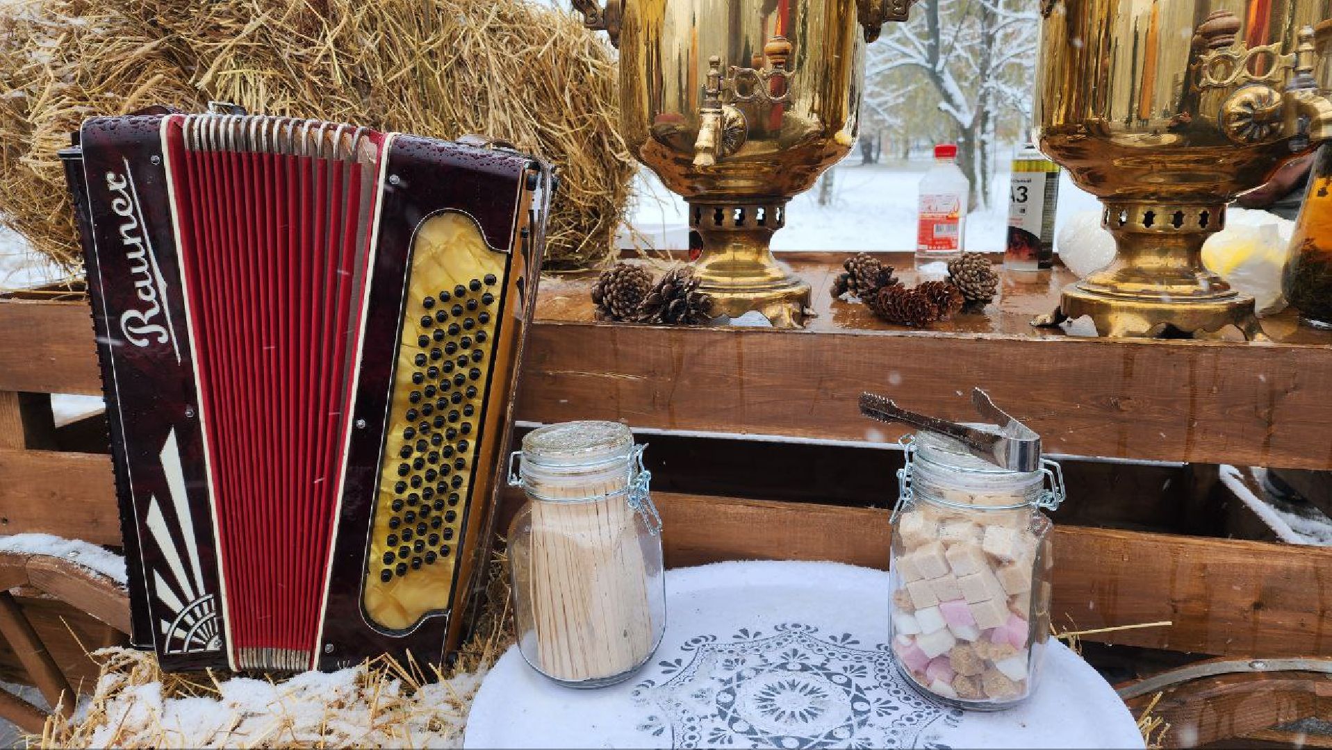 Реутов, день народно единства, Праздник в парке, вертикалки, Чаепитие, Чай из самовара, Баранки,