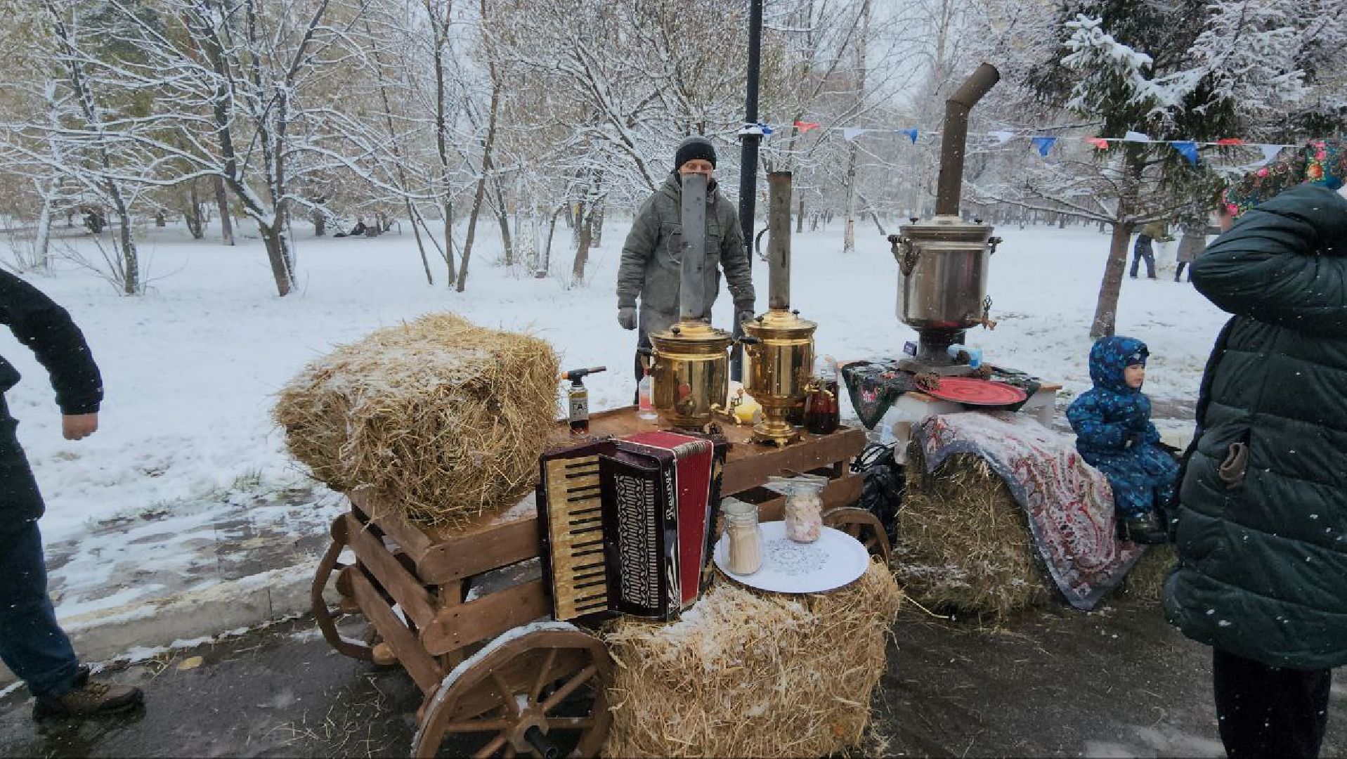 Реутов, день народно единства, Праздник в парке, вертикалки, Чаепитие, Чай из самовара, Баранки,