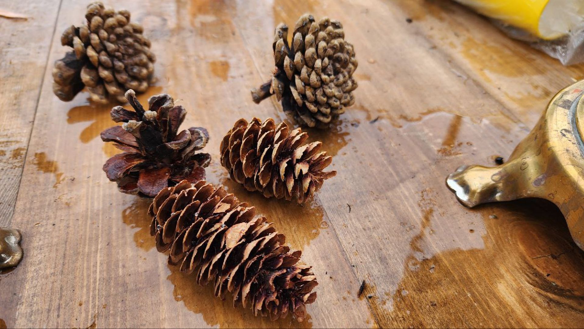 Реутов, день народно единства, Праздник в парке, вертикалки, Чаепитие, Чай из самовара, Баранки,