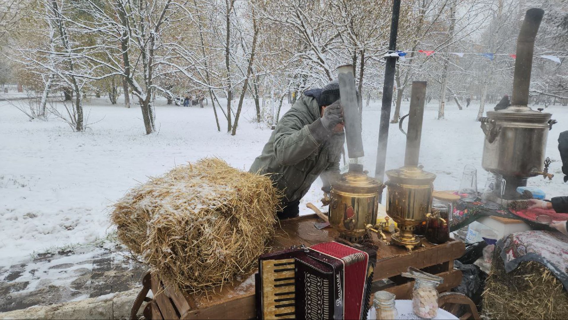 Реутов, день народно единства, Праздник в парке, вертикалки, Чаепитие, Чай из самовара, Баранки,