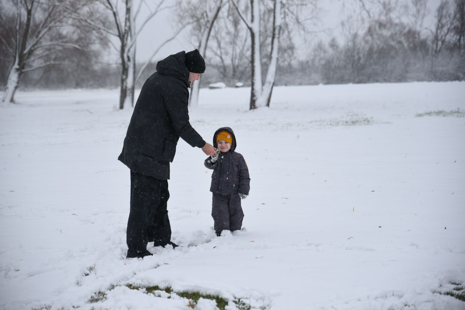 Бронницы, День народного единства, Первый снег, Снеговик в парке Бронницкий Луг, Вертикальное видео, Вертикалка,