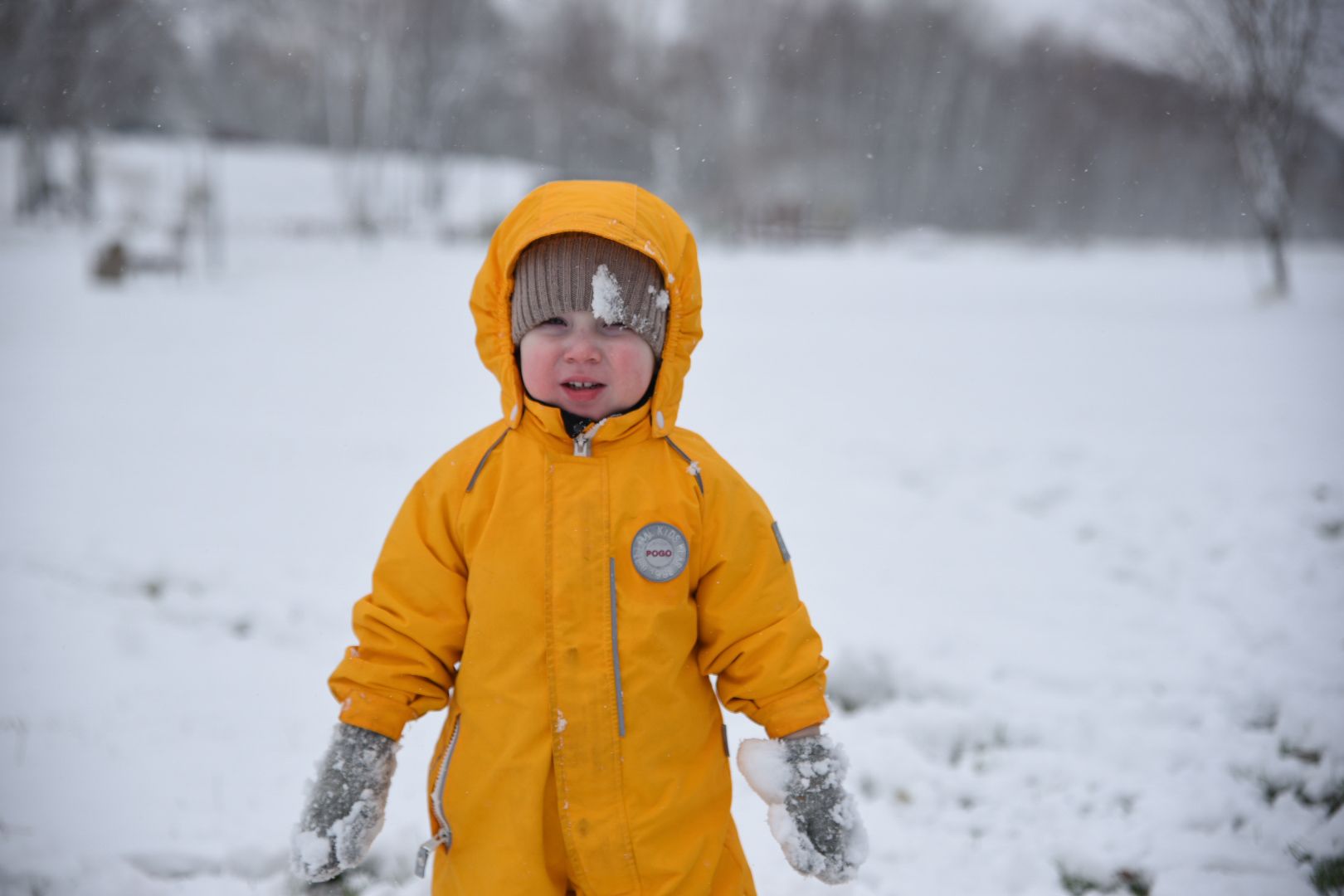 Бронницы, День народного единства, Первый снег, Снеговик в парке Бронницкий Луг, Вертикальное видео, Вертикалка,
