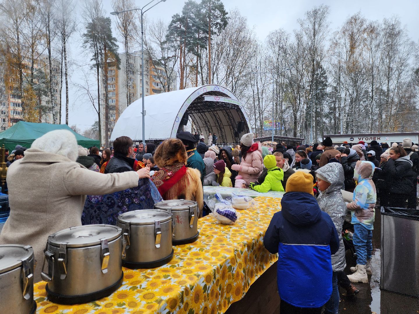 ногинск, жители, общество, центральный парк, праздний, самовар, день народного единства, чай, вертикалки
