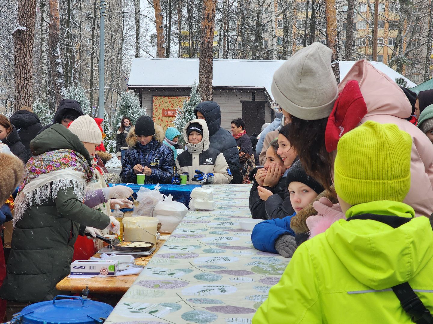 ногинск, жители, общество, центральный парк, праздний, самовар, день народного единства, чай, вертикалки