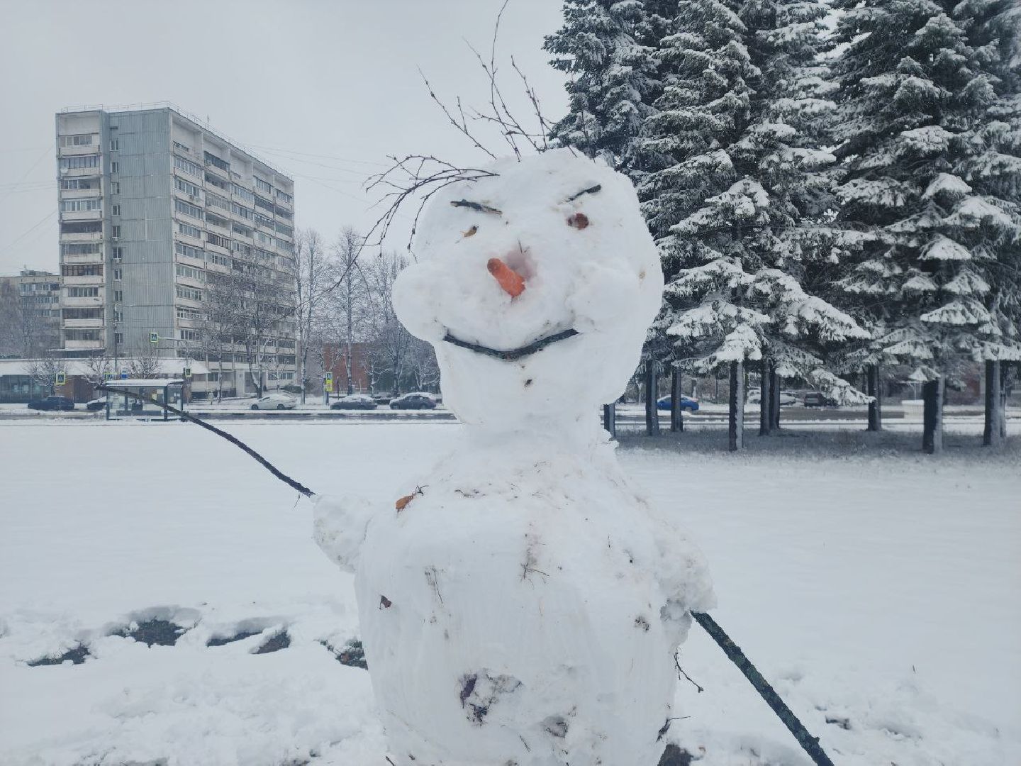 пущино, серпухов, снегопад, вертикалки,