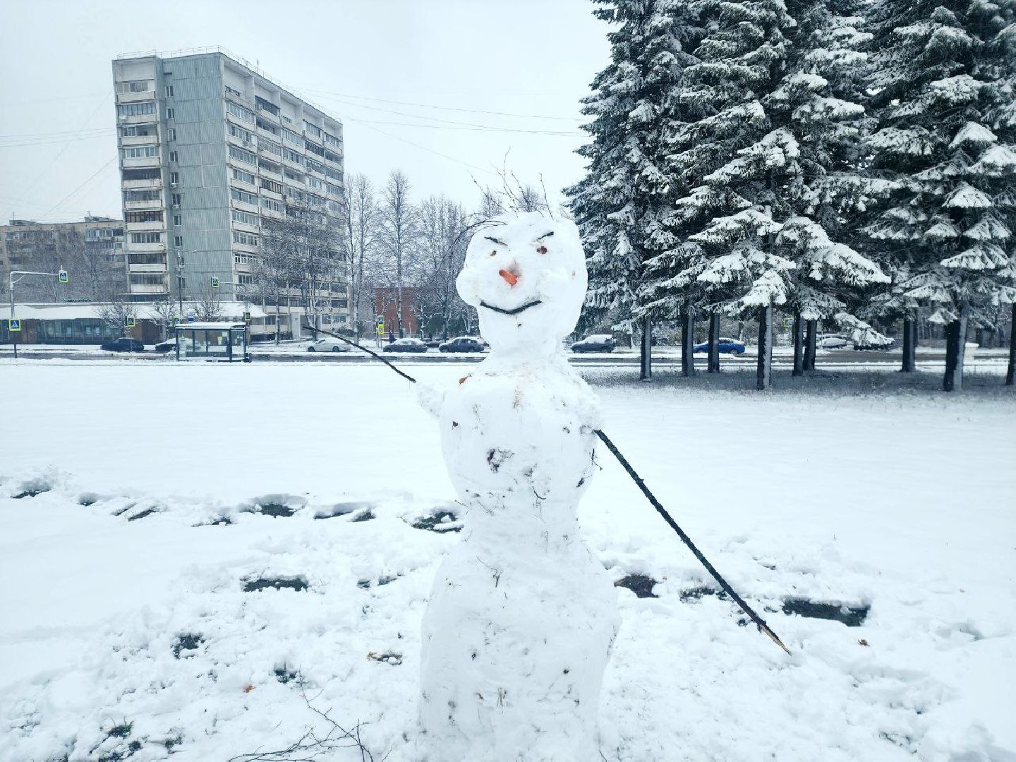 пущино, серпухов, снегопад, вертикалки,