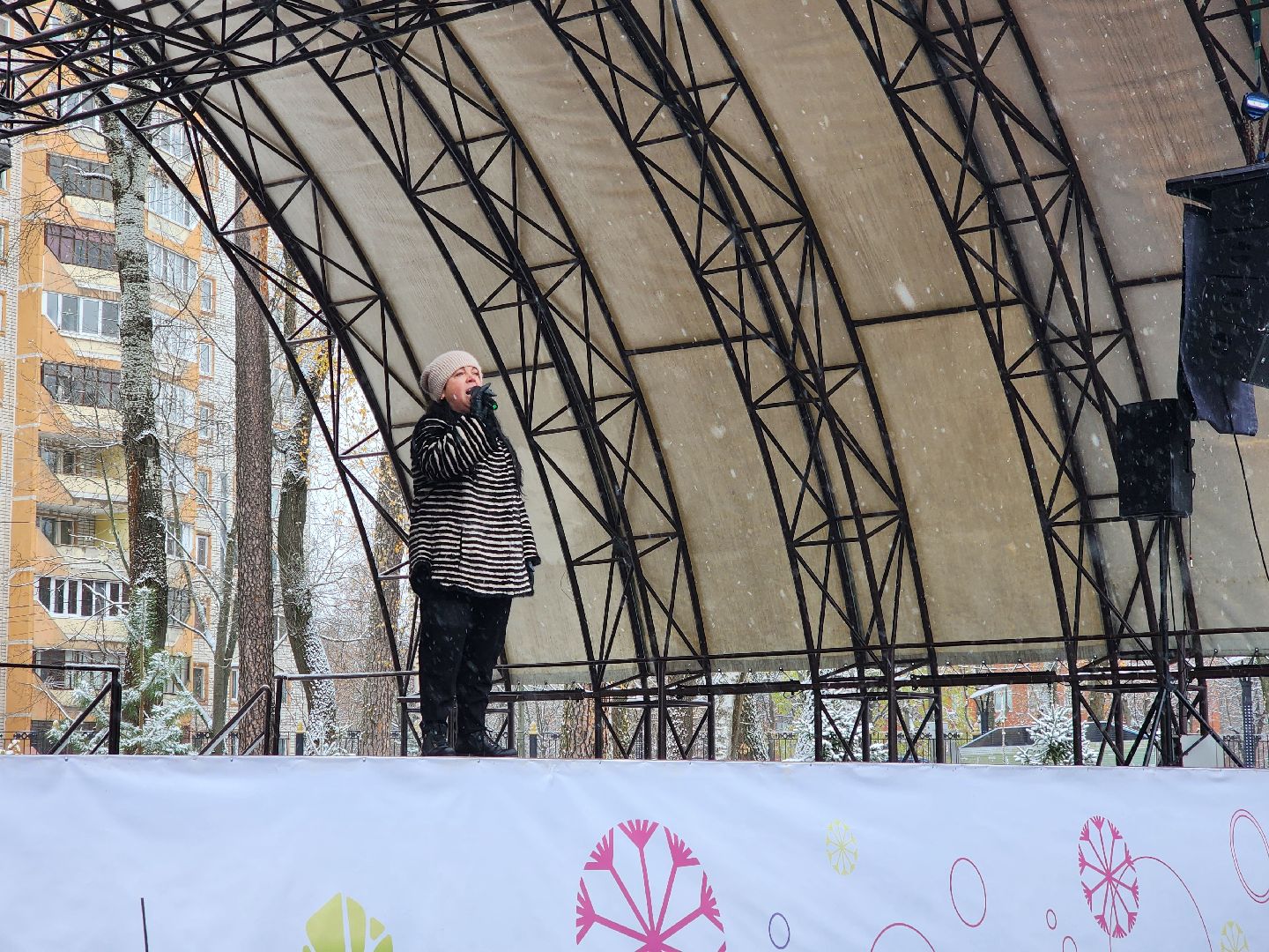 ногинск, жители, общество, праздник, еда, чай, концерт, день народного единства, парки богородского округа, вертикалки