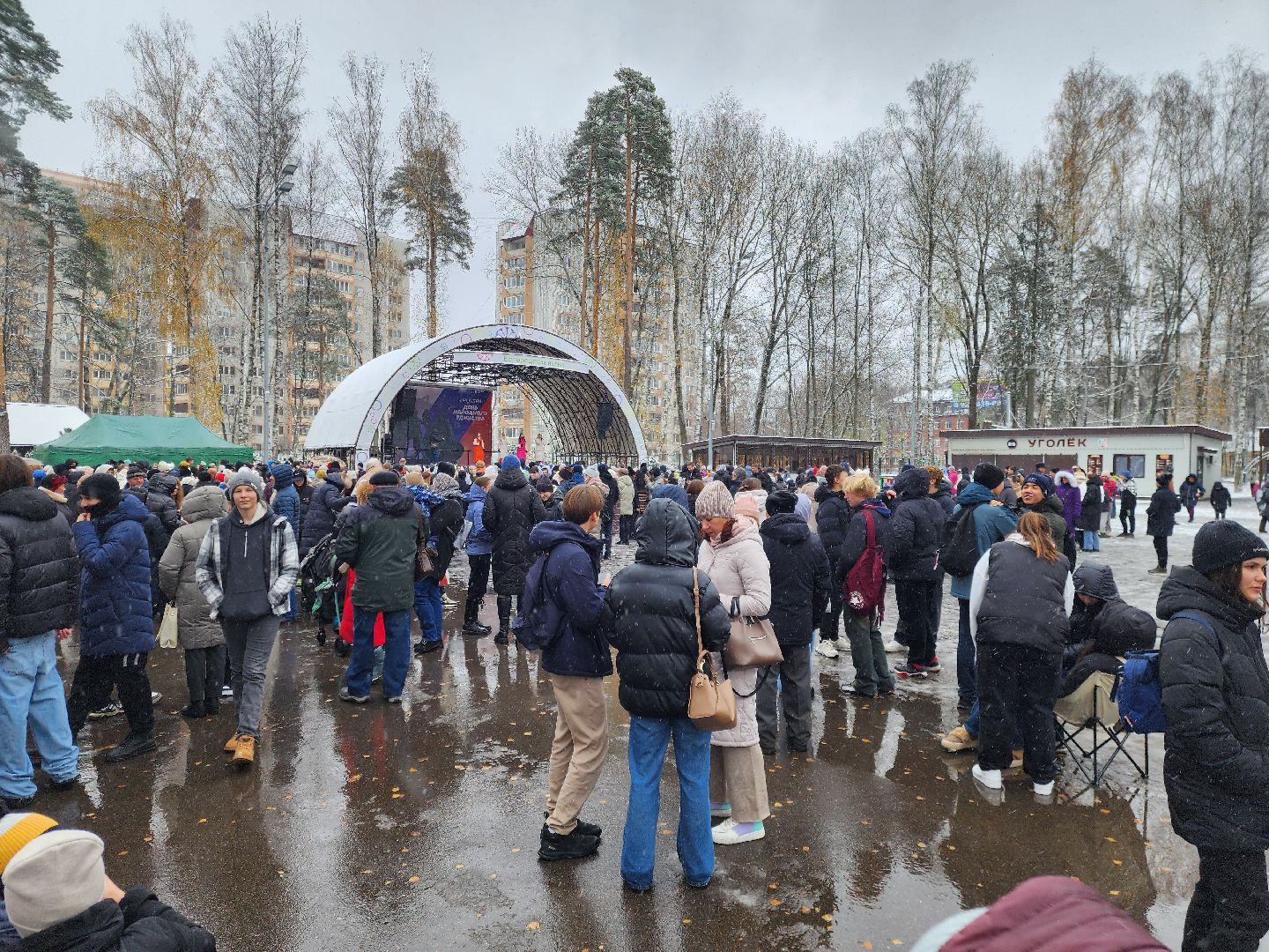 ногинск, жители, общество, праздник, еда, чай, концерт, день народного единства, парки богородского округа, вертикалки