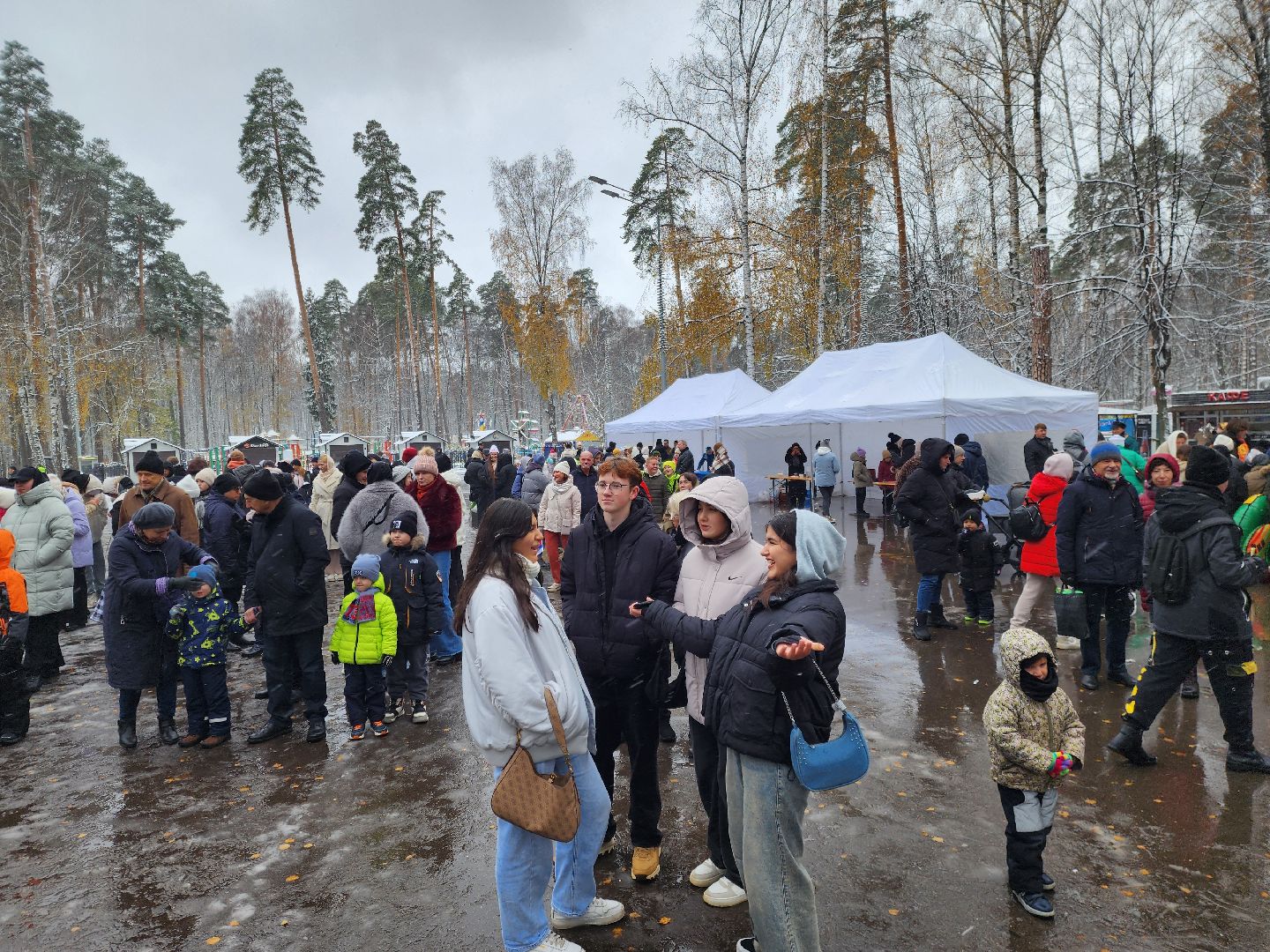 ногинск, жители, общество, праздник, еда, чай, концерт, день народного единства, парки богородского округа, вертикалки