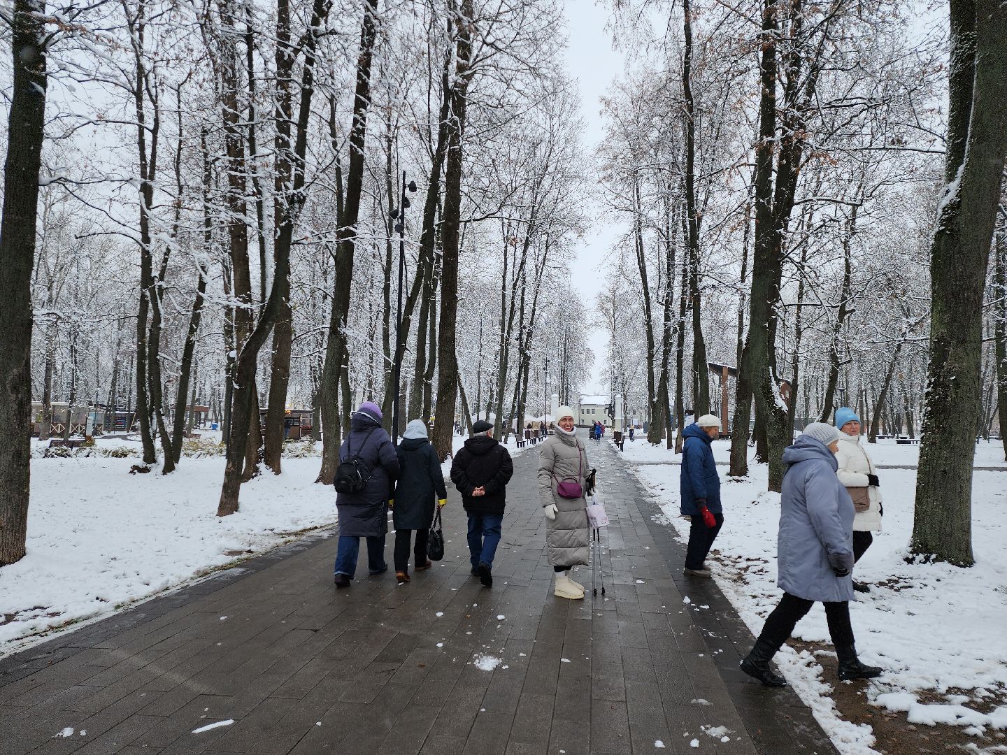 серпухов, подмосковье, парк имени олега степанова, парки подмосковья, день народного единства, вертикалка,