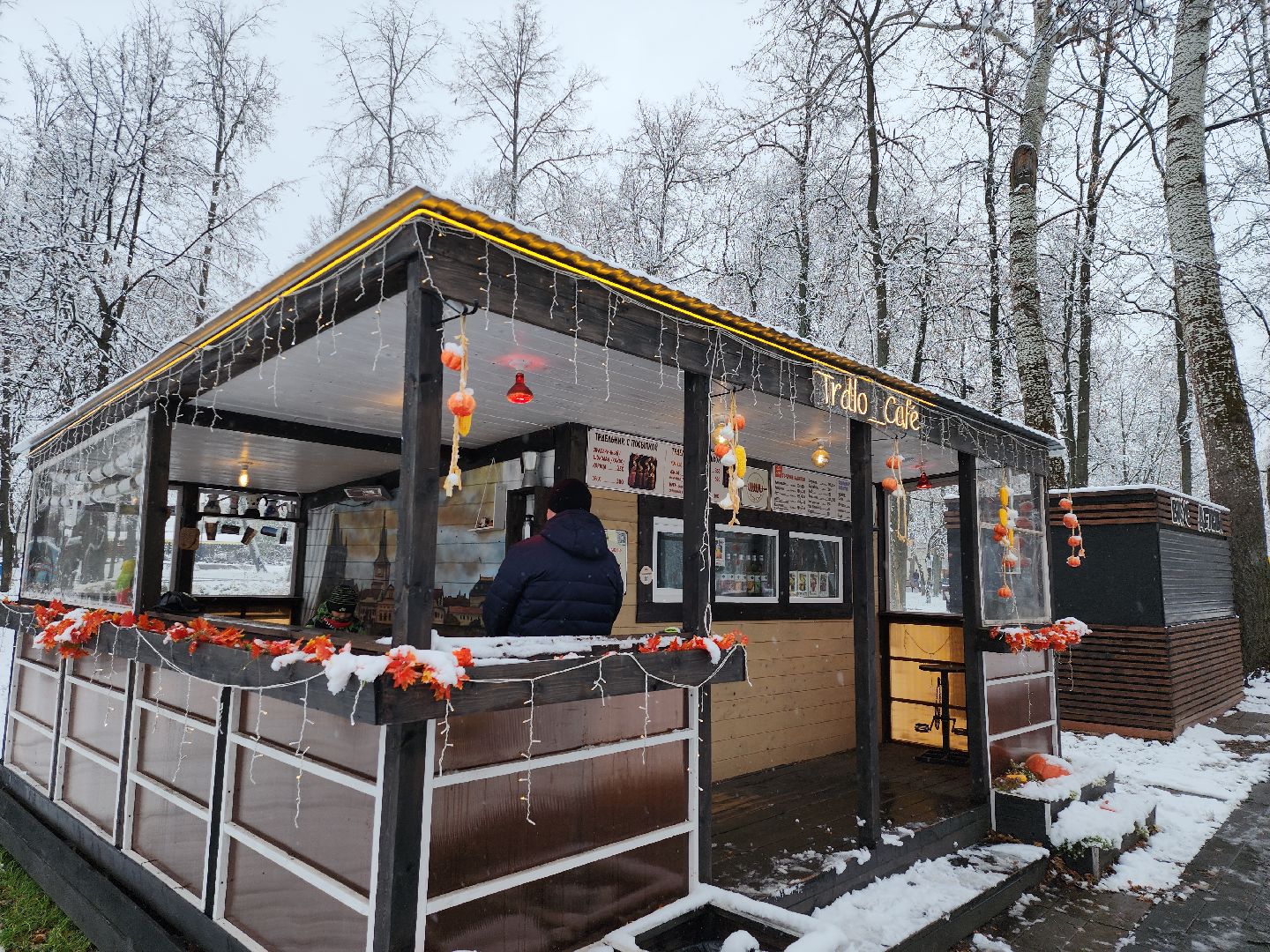 серпухов, подмосковье, парк имени олега степанова, парки подмосковья, день народного единства, вертикалка,