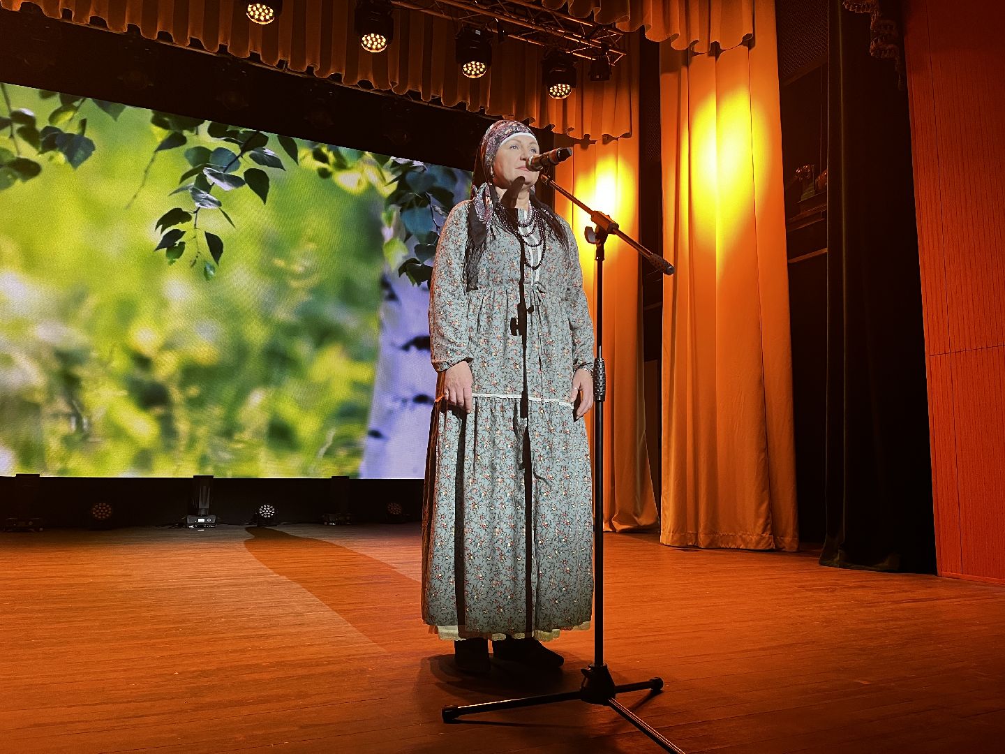 волоколамск, день народно единства, Родники, гала-концерт,