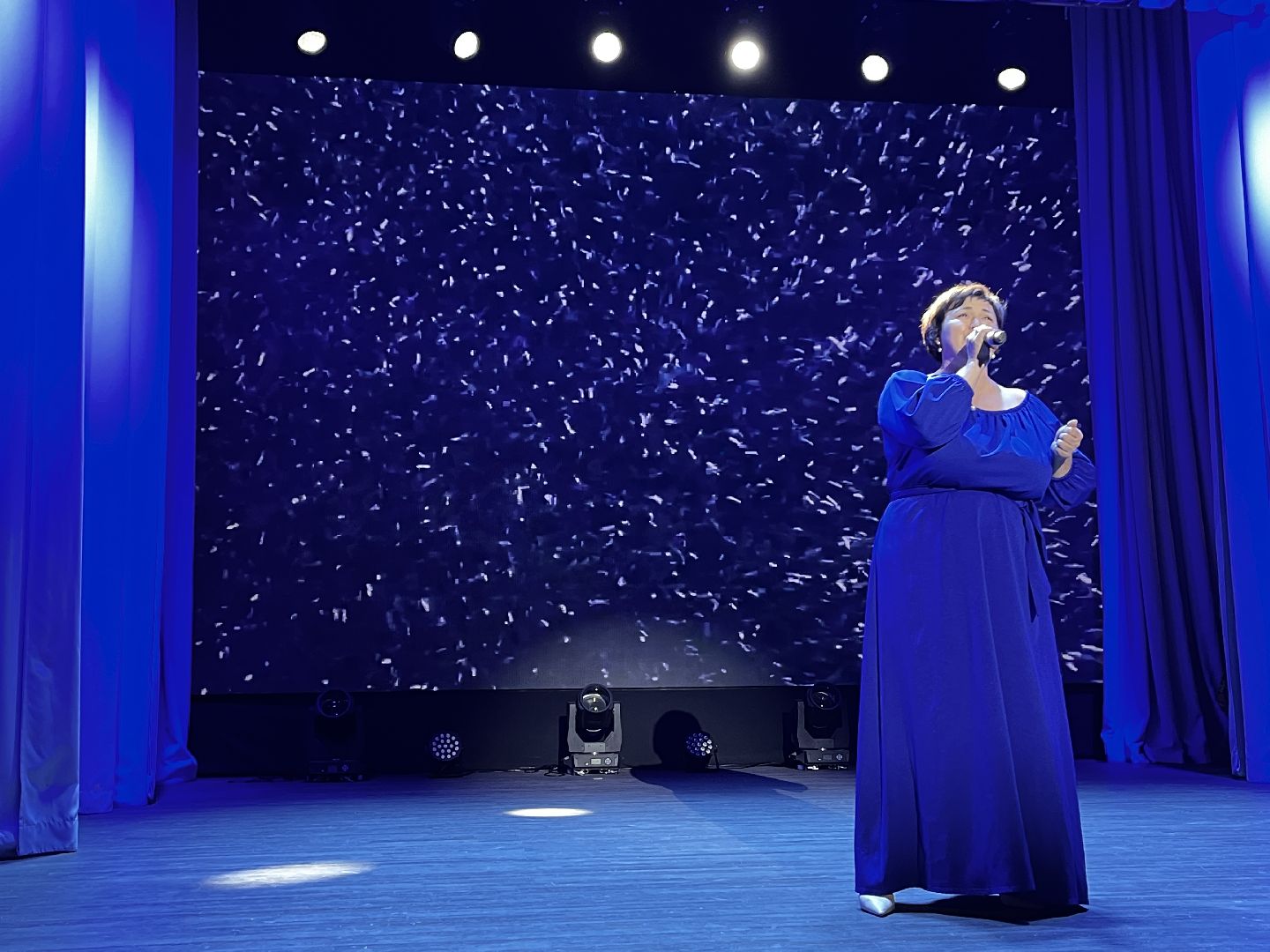 волоколамск, день народно единства, Родники, гала-концерт,