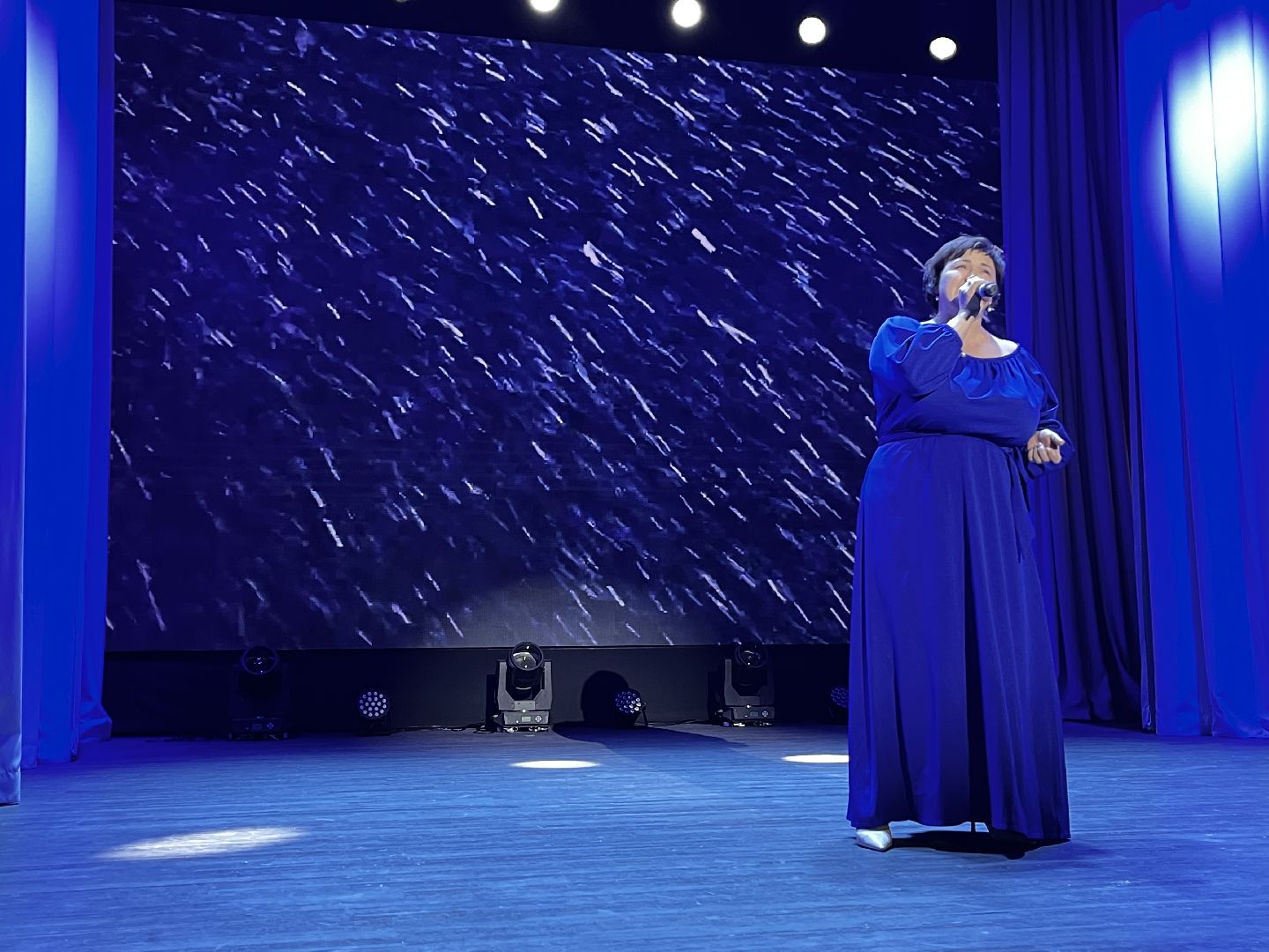 волоколамск, день народно единства, Родники, гала-концерт,