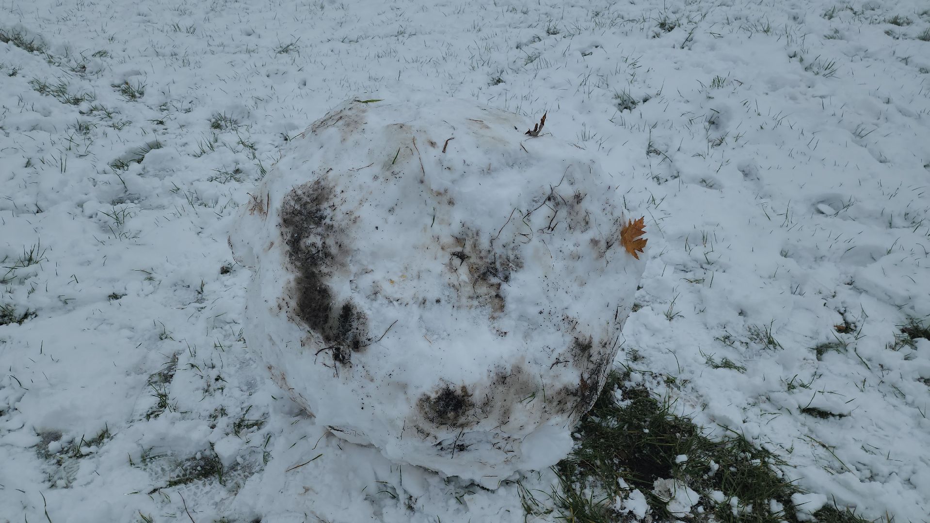 долгопрудный, день народного единства, снеговики, кривые зеркала, мастер класс, вертикалка,