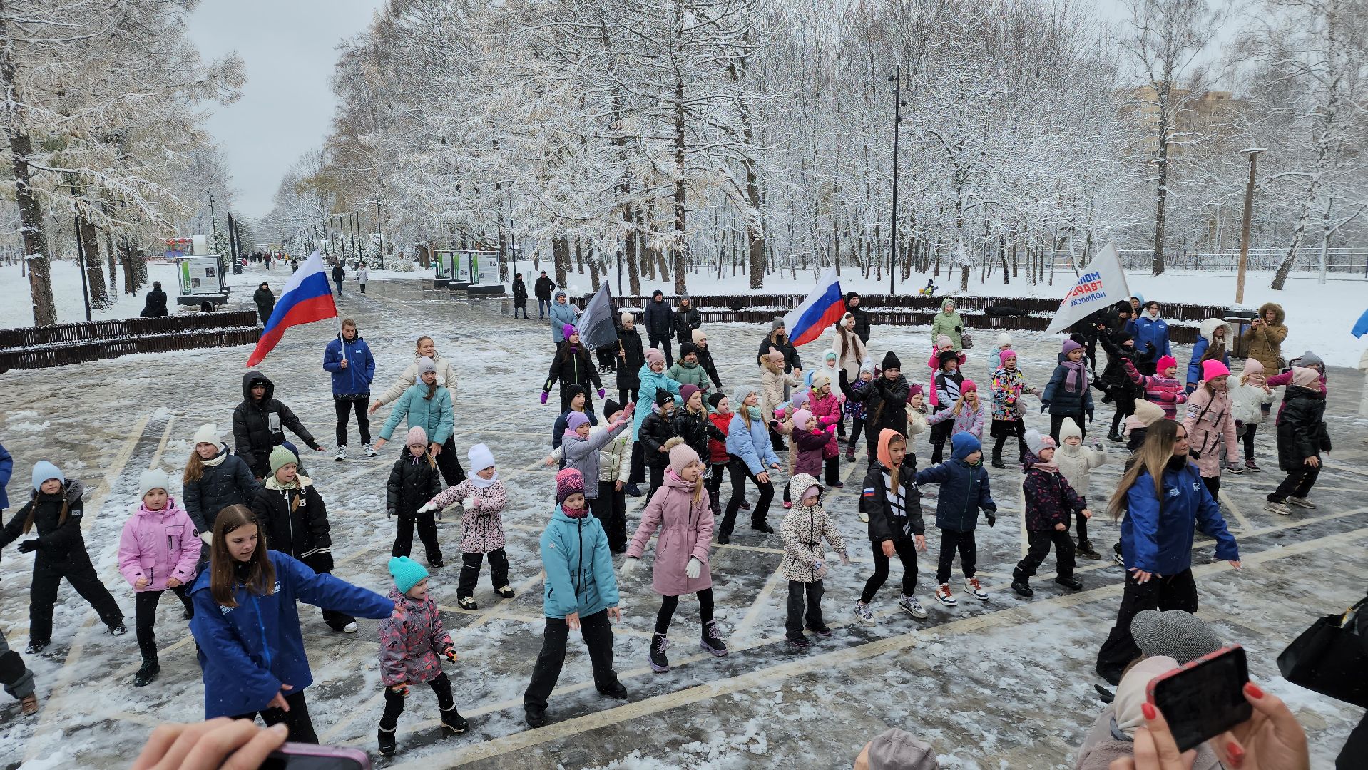 ступино, день народного единства, парки подмосковья, вертикалка,