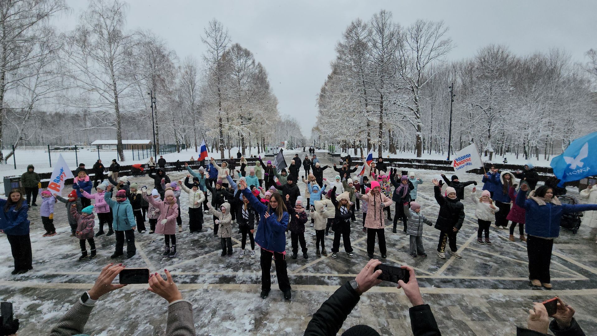 ступино, день народного единства, парки подмосковья, вертикалка,