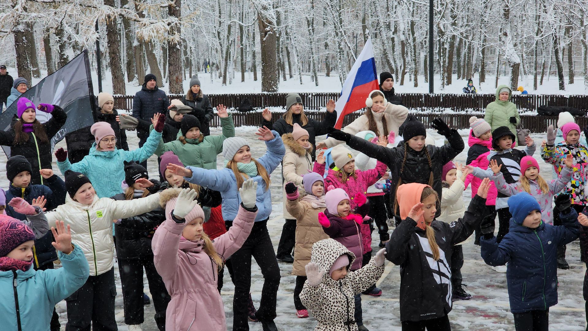 ступино, день народного единства, парки подмосковья, вертикалка,