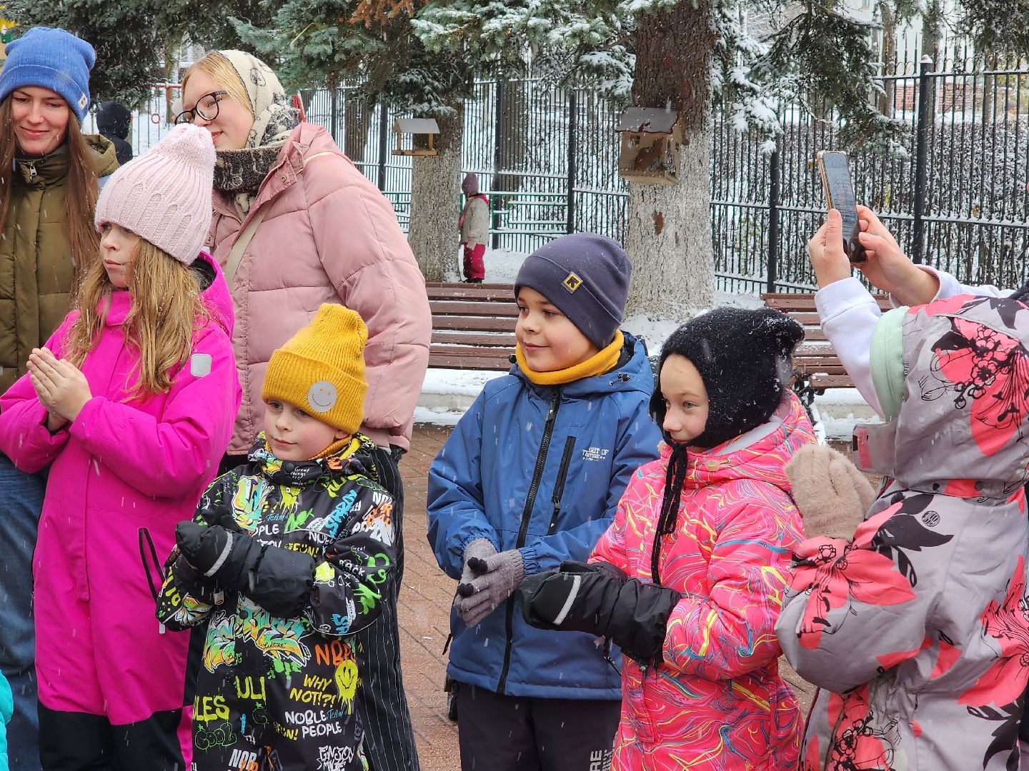 красноармейск, городской округ пушкинский, день народного единства, первый снег,вертикалки,