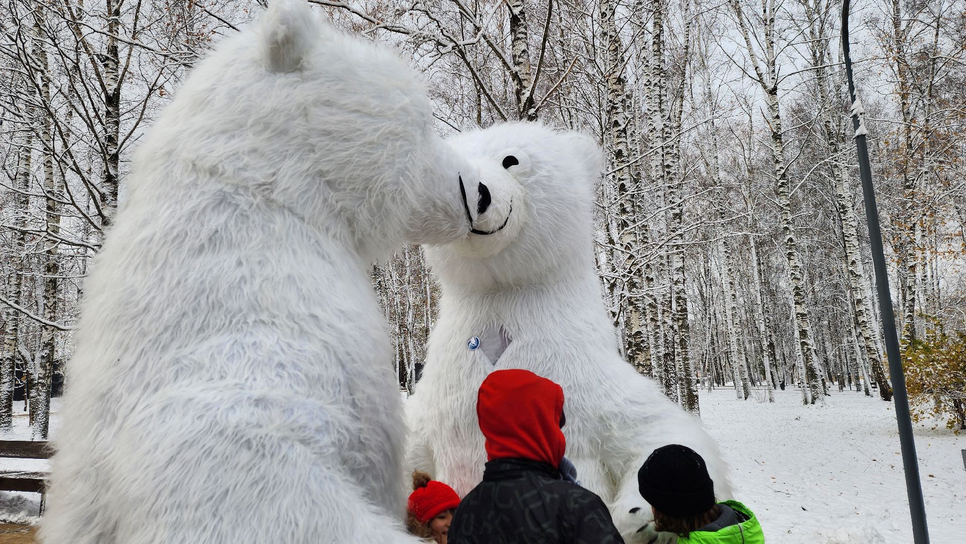 Солнечногорск, День народного единства, игры народов россии, мц возрождение, вертикалки,