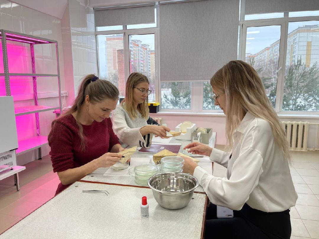 Наука, ВНИИСОК, Овощеводство, Молодые учёные, Одинцово