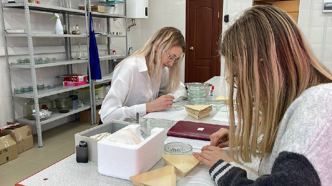 Наука, ВНИИСОК, Овощеводство, Молодые учёные, Одинцово