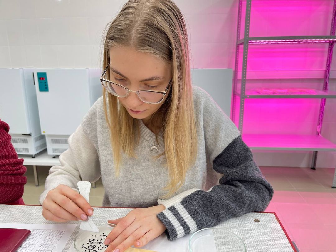 Наука, ВНИИСОК, Овощеводство, Молодые учёные, Одинцово