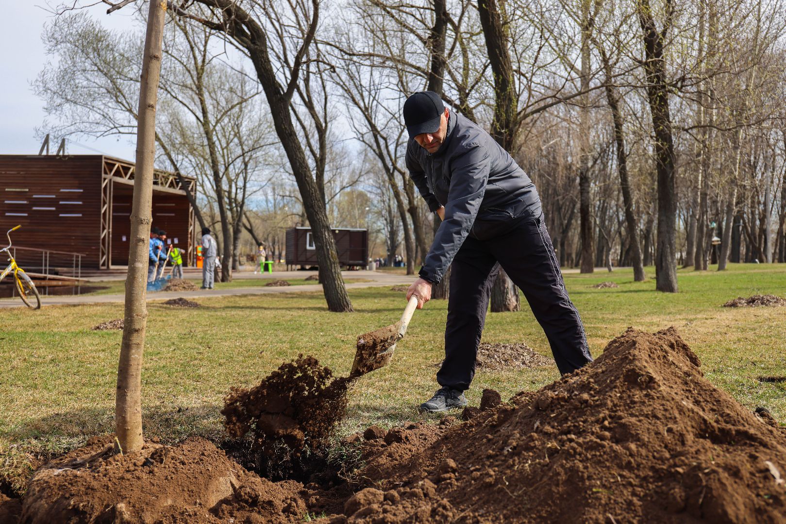 Реутов, высадка деревьев, клёны, Фабричный пруд