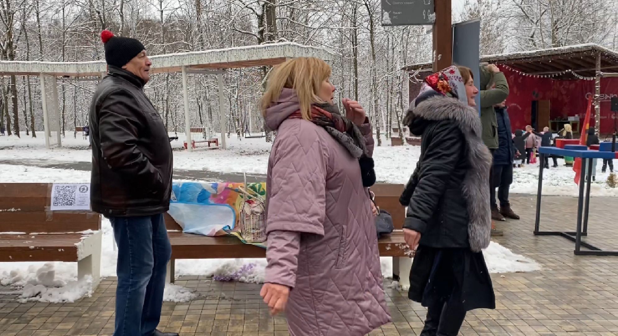 Концерт, Гармонь, день народного единства, вертикалка, истра,