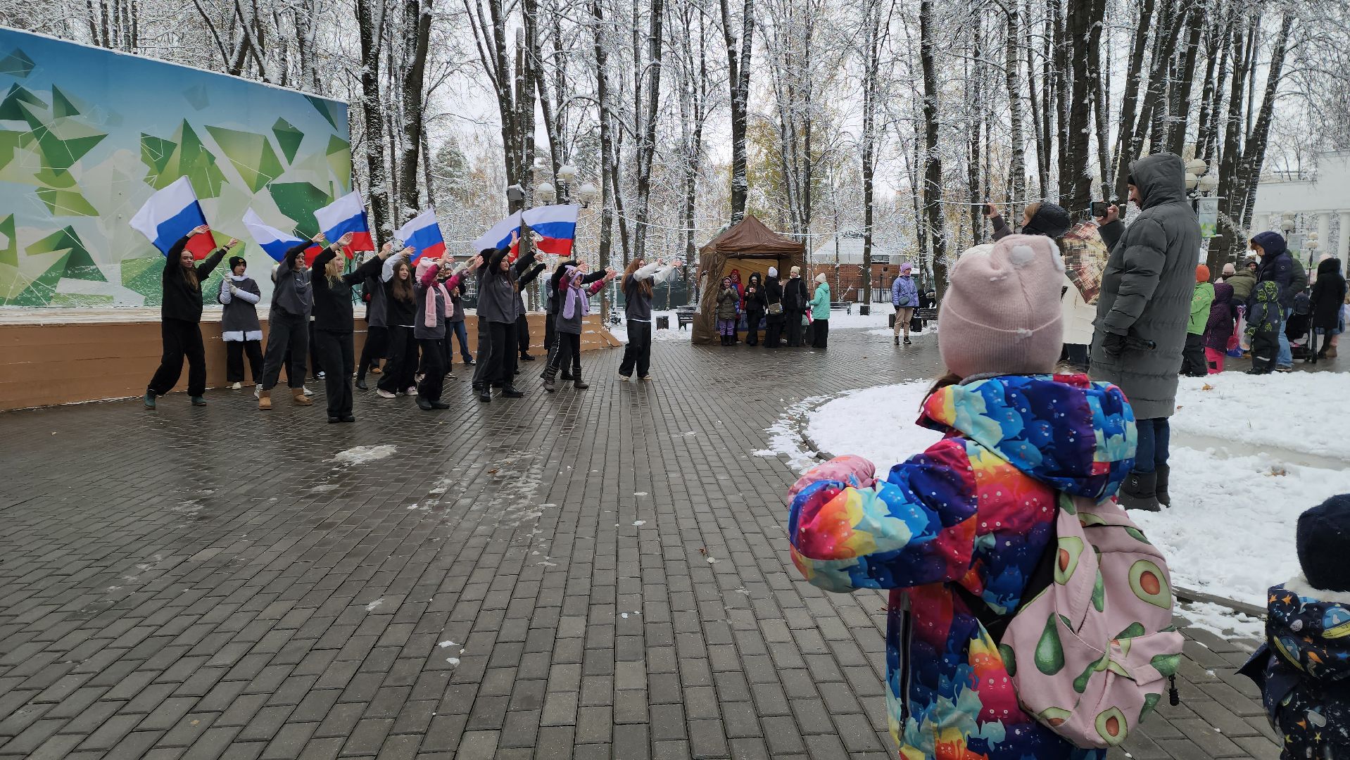 красногорск, день народного единства,вертикалка,Вертикальное видео,
