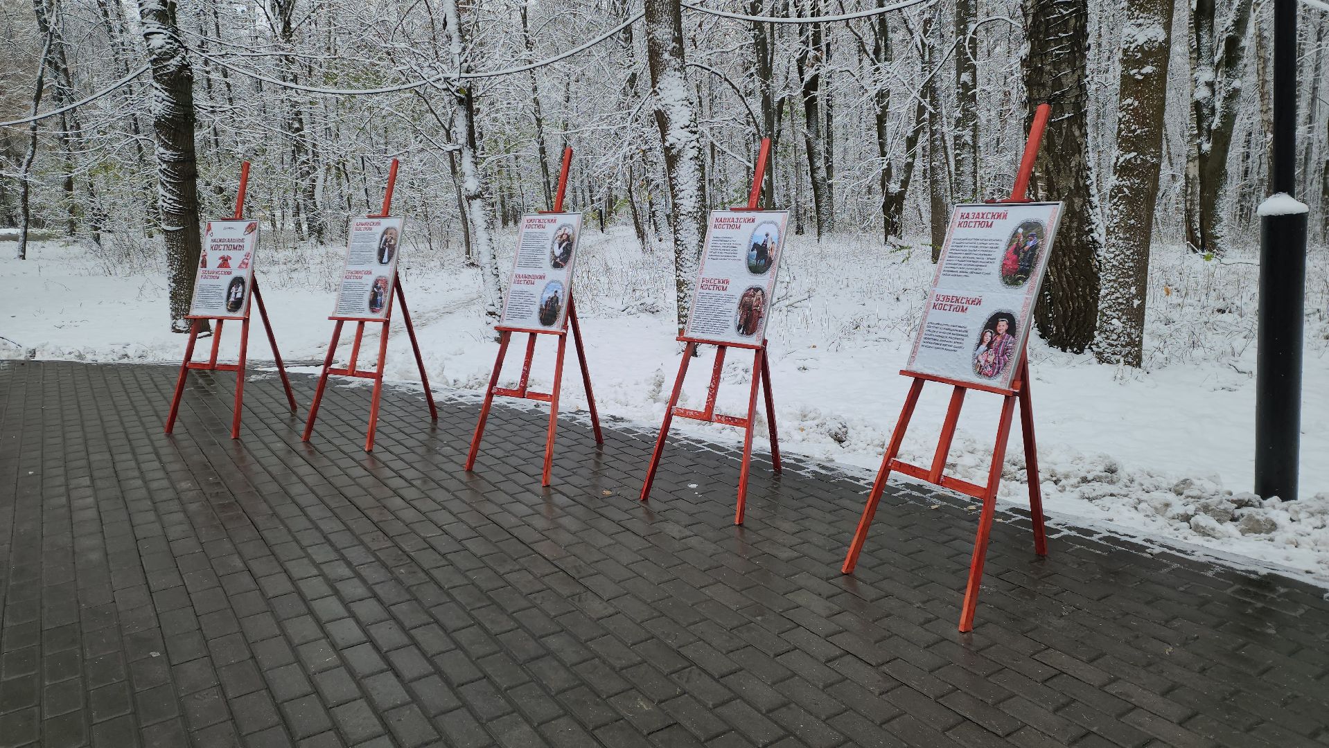 красногорск, день народного единства,вертикалка,Вертикальное видео,