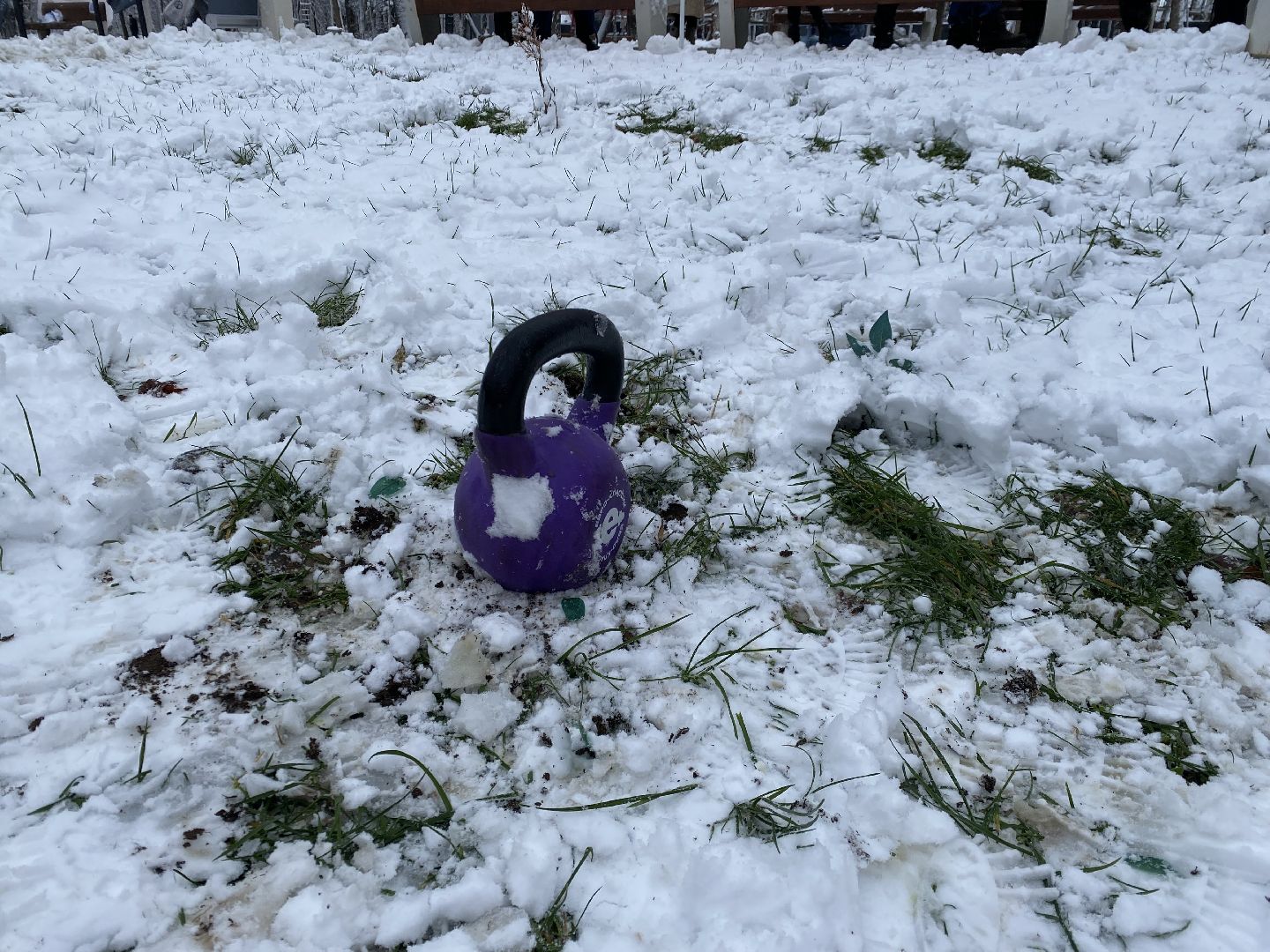 Спорт, Гиря, Армрестлинг, вертикалка, день народного единства, истра,