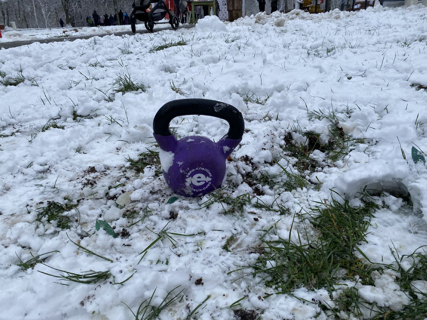 Спорт, Гиря, Армрестлинг, вертикалка, день народного единства, истра,