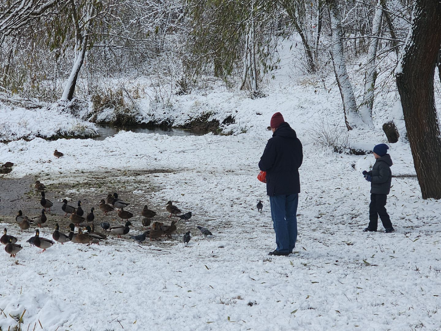 праздник в парке, первый снег, день народного единства, вертикалка,