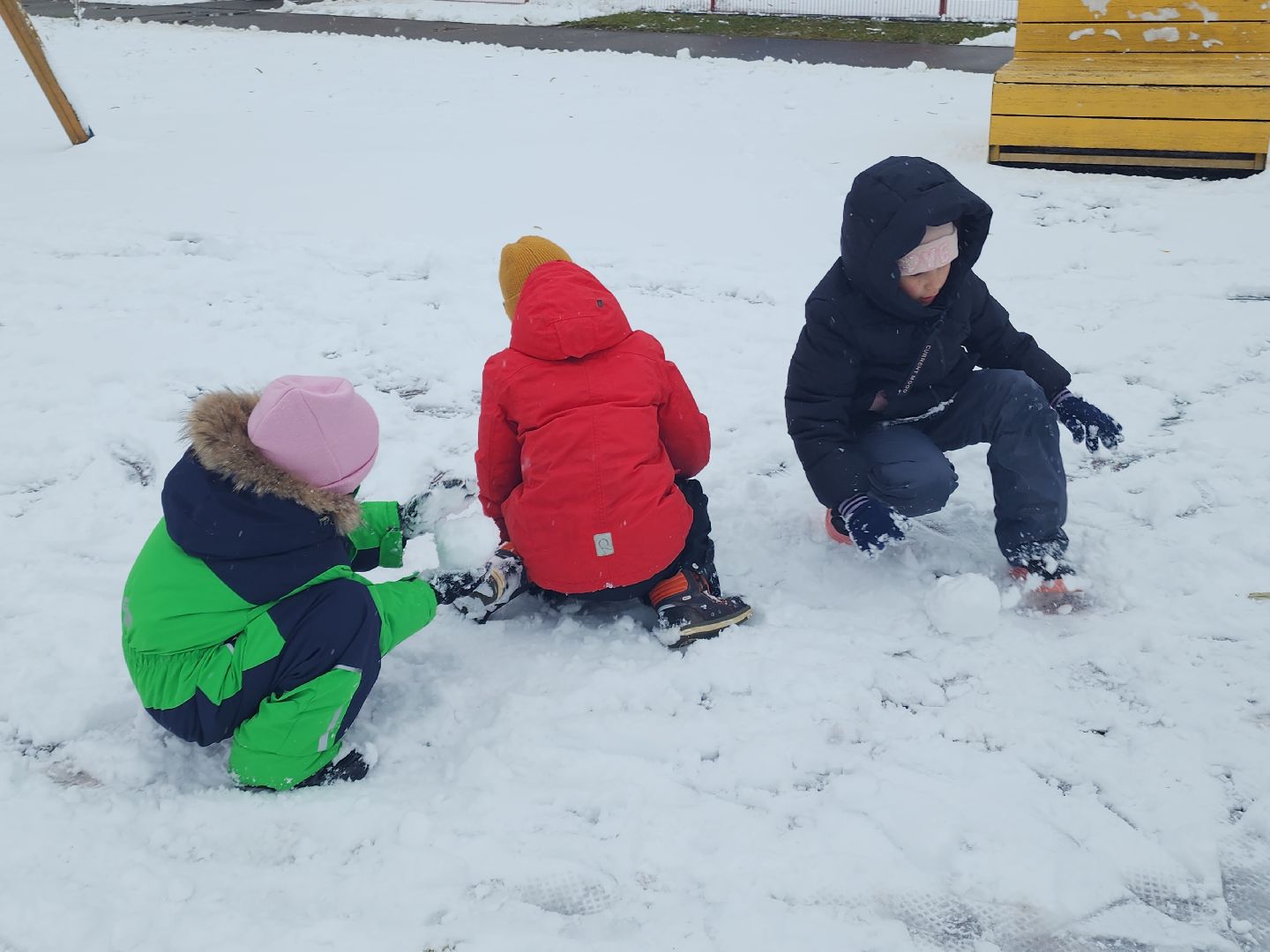 праздник в парке, первый снег, день народного единства, вертикалка,