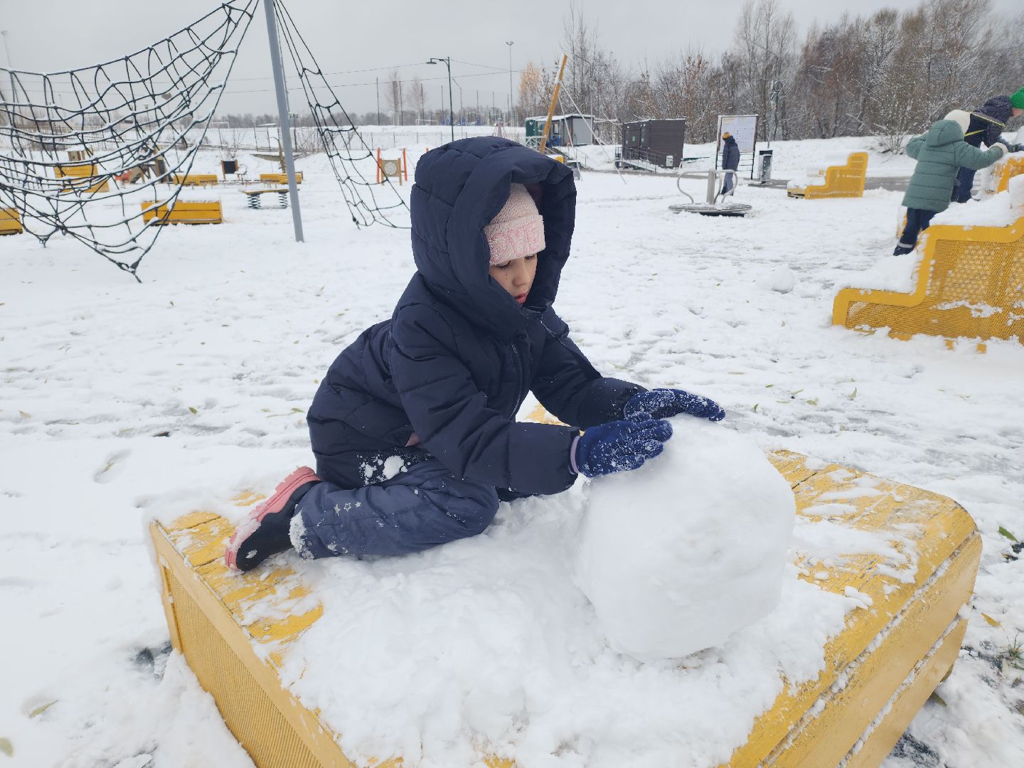 праздник в парке, первый снег, день народного единства, вертикалка,