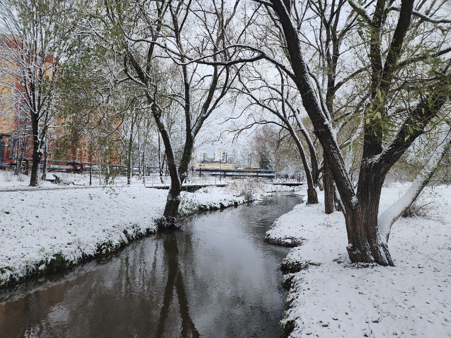 праздник в парке, первый снег, день народного единства, вертикалка,