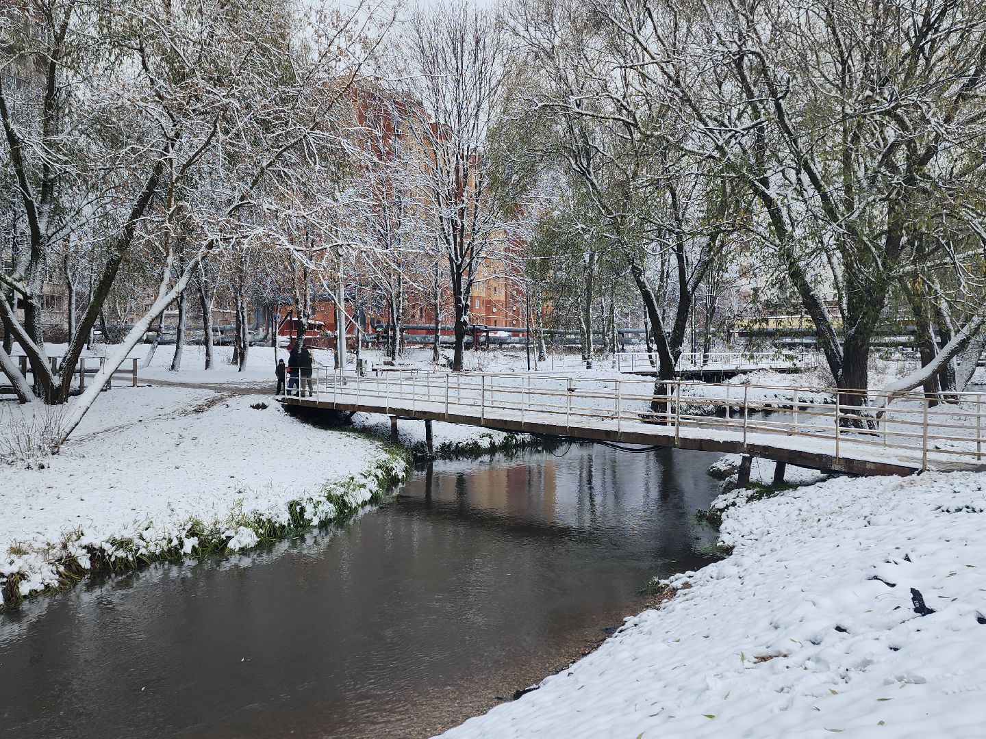 праздник в парке, первый снег, день народного единства, вертикалка,