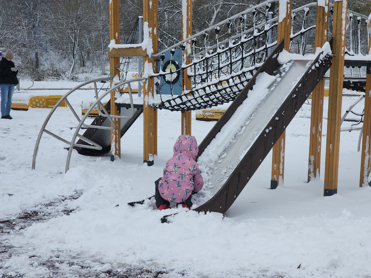 праздник в парке, первый снег, день народного единства, вертикалка,