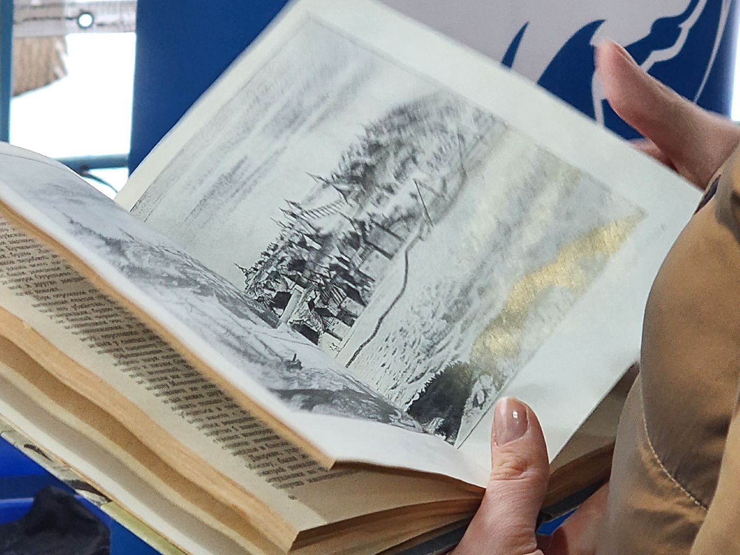 королёв, вертикалки,