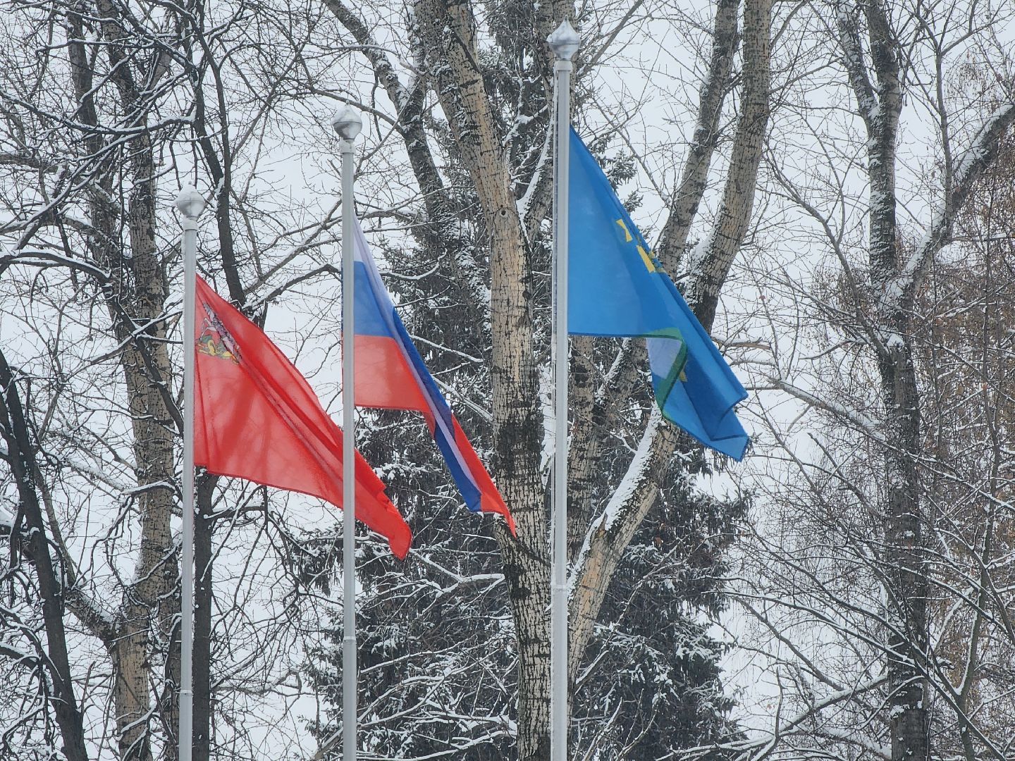 Коломна, день народного единства, праздничная программа, парки подмосковья, вертикалка,