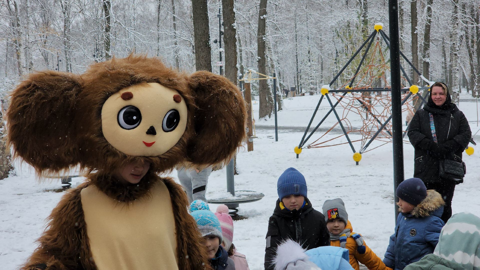 ступино, день народного единства, парки подмосковья, вертикалка,