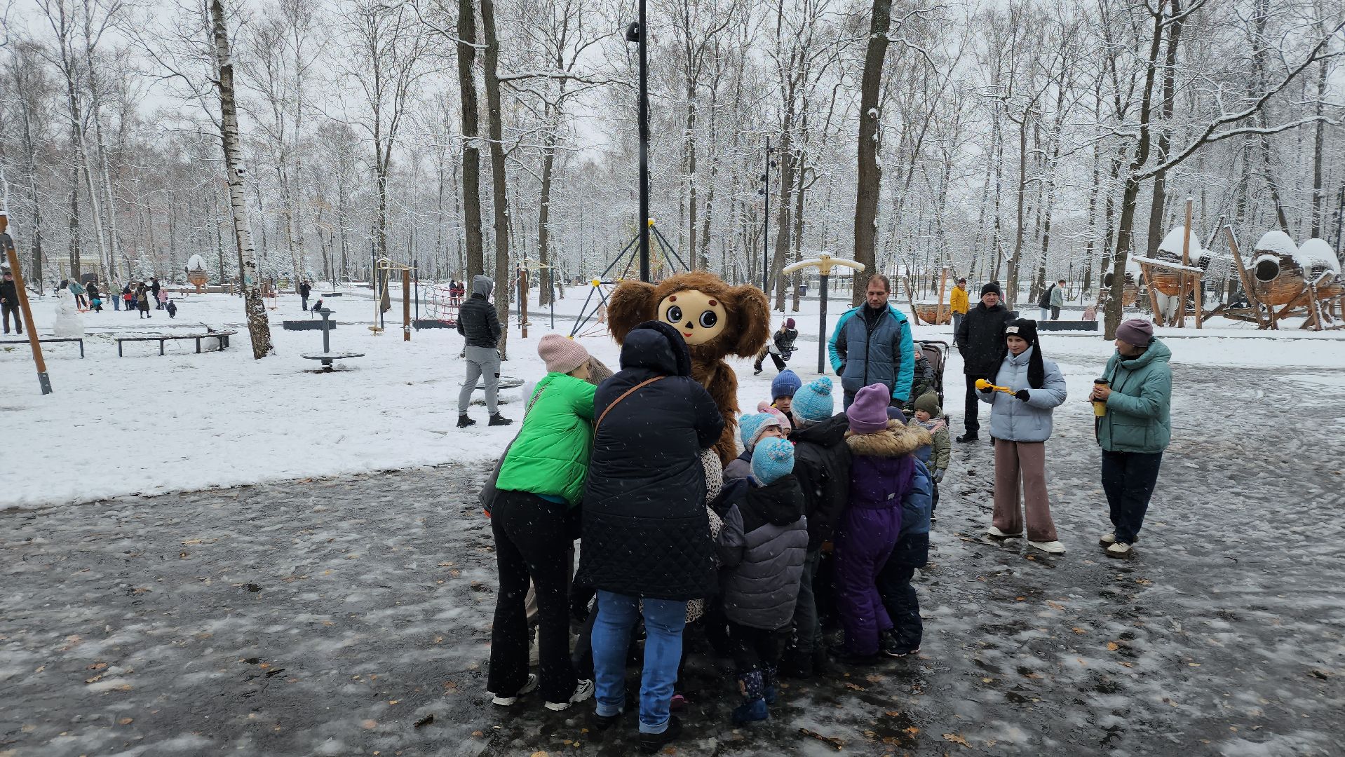 ступино, день народного единства, парки подмосковья, вертикалка,