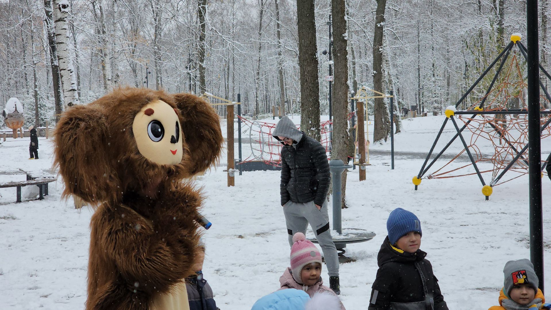 ступино, день народного единства, парки подмосковья, вертикалка,