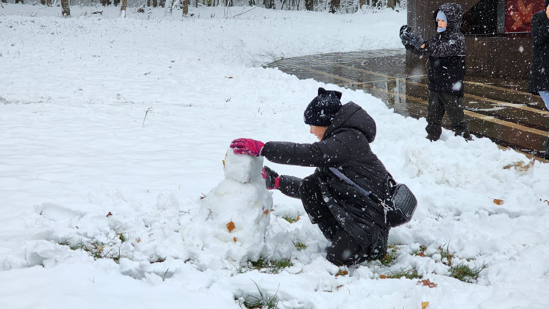 кашира, день народного единства, концерт, вертикалка,