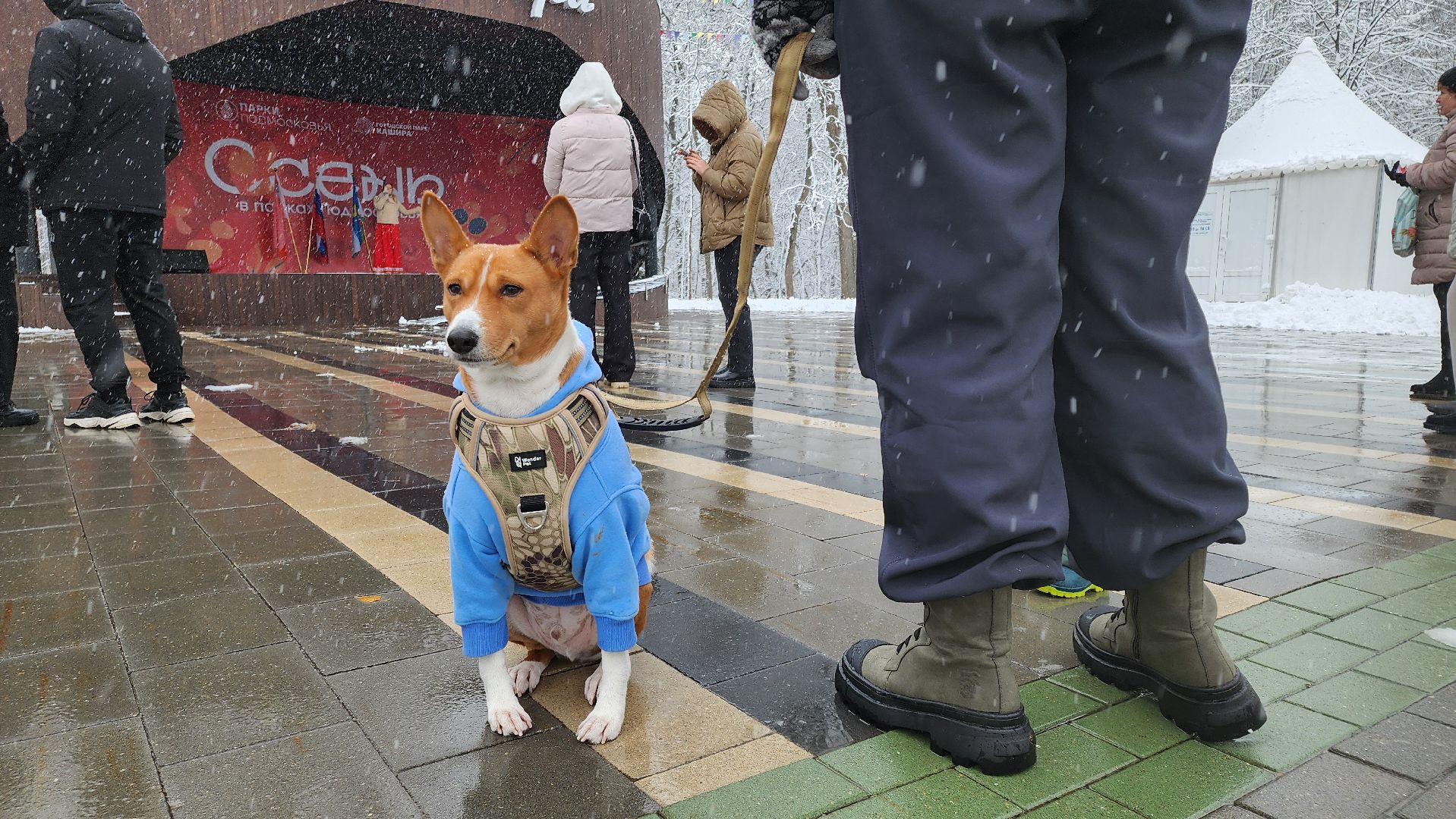 кашира, день народного единства, концерт, вертикалка,