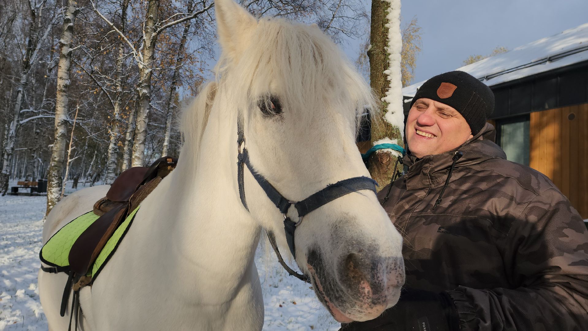 Катание на лошадях, Парк, день народного единства, Лобня, вертикалка,